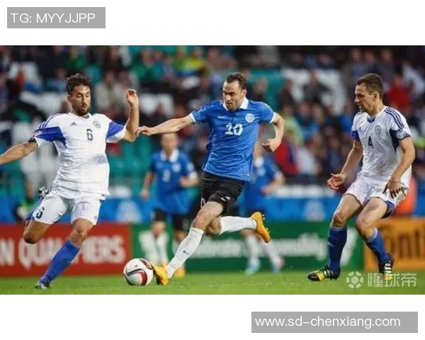 爱沙尼亚与白俄罗斯比赛进球时间分析及精彩瞬间回顾