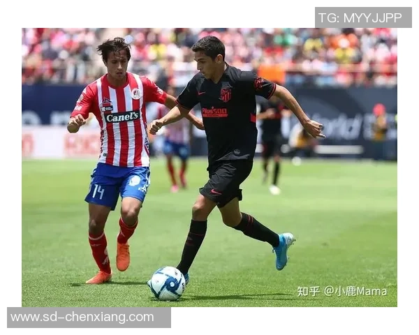 圣路易斯与老虎大学比赛前瞻及比分预测分析