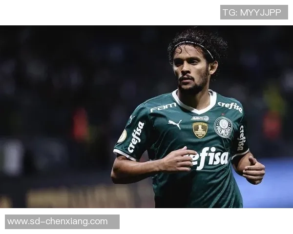 博塔弗戈与瓦斯科达伽马精彩对决直播全程回顾与分析 博塔弗戈与瓦斯科达伽马精彩对决直播全程回顾与分析