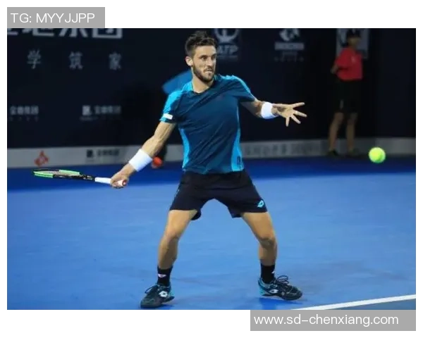 网球赛场精彩对决棉贯阳介挑战达米尔德祖赫争夺胜利荣耀