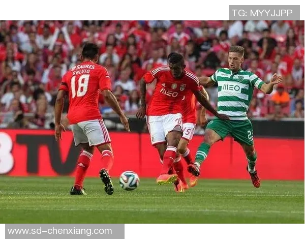 葡萄牙国民与里斯本竞技比赛推迟的原因及影响分析