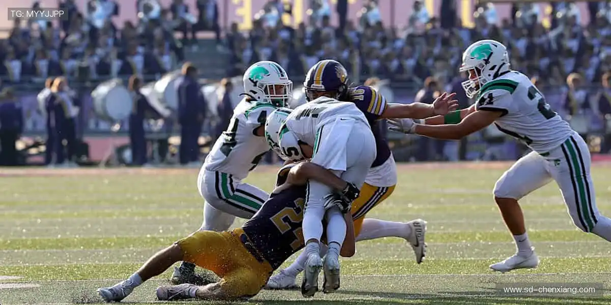 ⚽ 热血赛事,一触即发!🔥